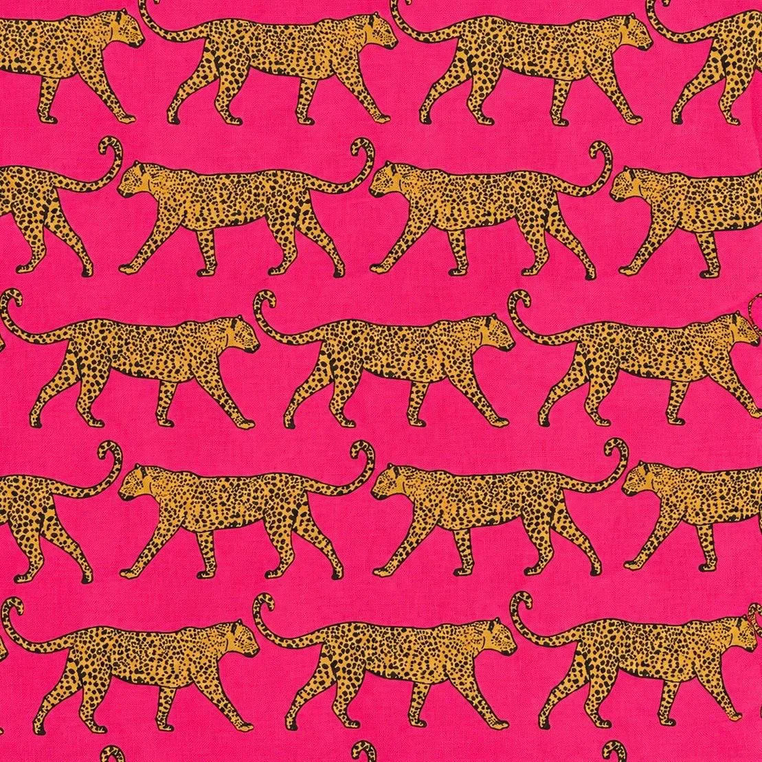 Fucsia Cheetah Fucsia Cheetah